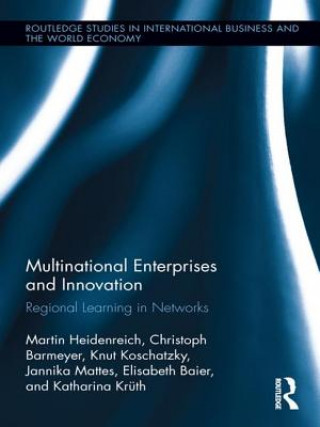 Knjiga Multinational Enterprises and Innovation Martin Heidenreich