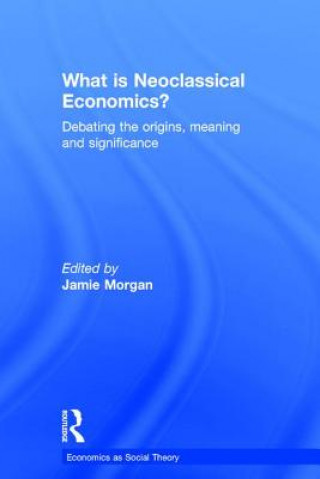 Buch What is Neoclassical Economics? 