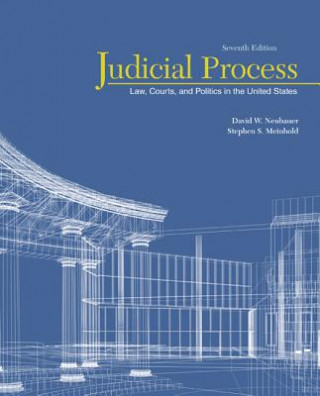 Knjiga Judicial Process Stephen Scott Meinhold
