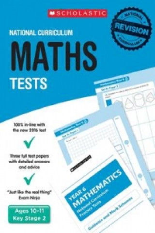 Kniha Maths Test - Year 6 Paul Hollin