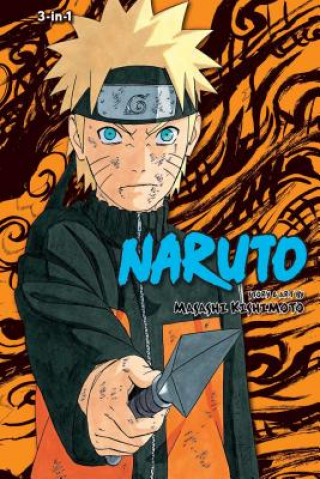 Kniha Naruto (3-in-1 Edition), Vol. 14 Masashi Kishimoto