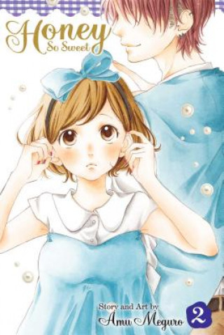 Könyv Honey So Sweet, Vol. 2 Amu Meguro