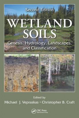 Libro Wetland Soils Michael J. Vepraskas