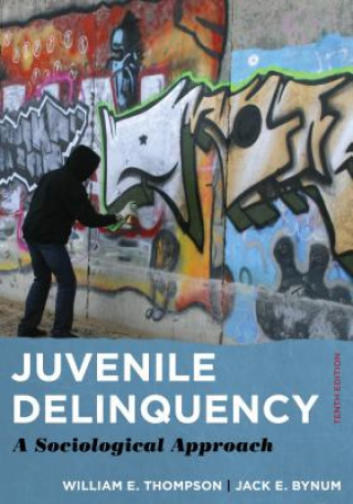 Knjiga Juvenile Delinquency William E. Thompson
