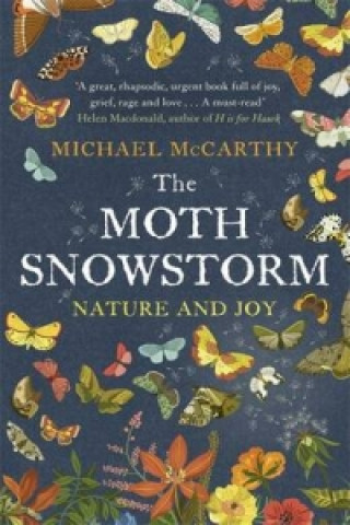 Książka Moth Snowstorm Michael McCarthy