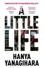 Книга Little Life Hanya Yanagihara