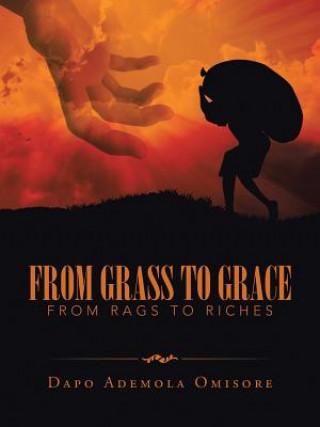 Buch From Grass to Grace DAPO ADEMOL OMISORE