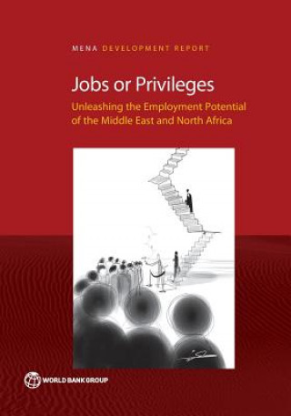 Kniha Jobs or Privileges Marc Tobias Schiffbauer