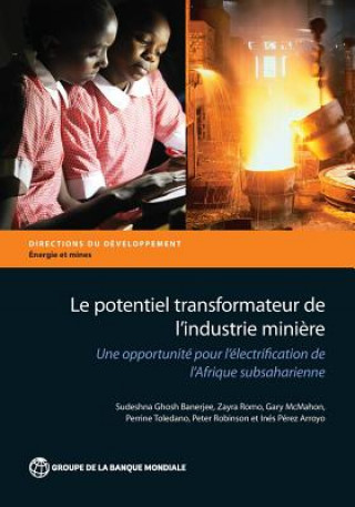 Könyv Le potentiel transformateur de l'industrie miniere en Afrique Sudeshna Ghosh Banerjee