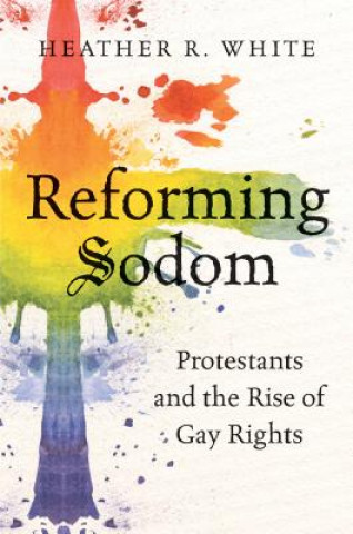 Kniha Reforming Sodom Heather Rachelle White