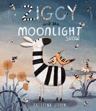 Buch Ziggy and the Moonlight Show KRISTYNA LITTEN