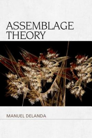 Kniha Assemblage Theory DELANDA MANUEL