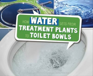 Könyv How Water Gets from Treatment Plants to Toilet Bowls PETERSON  MEGAN COOL