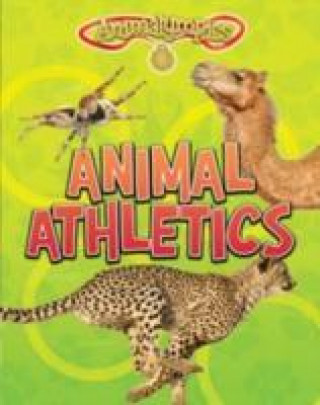 Kniha Animalympics Pack A of 4 Isabel Thomas
