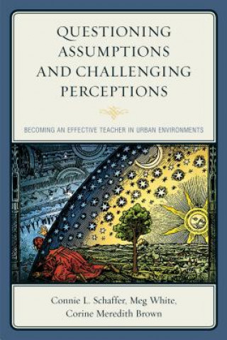 Kniha Questioning Assumptions and Challenging Perceptions Connie L. Schaffer