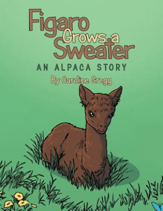 Livre Figaro Grows a Sweater Caroline Gregg