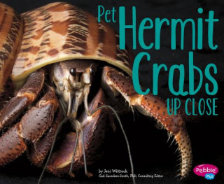 Libro Pet Hermit Crabs Up Close Jeni Wittrock