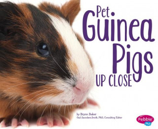 Buch Pet Guinea Pigs Up Close Brynn Baker