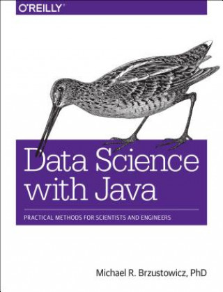 Book Data Science with Java Michael R. Brzustowicz