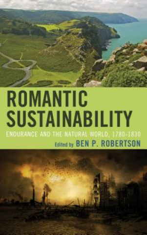 Kniha Romantic Sustainability Ben P Robertson