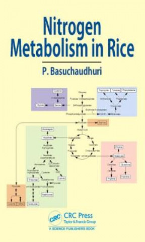 Carte Nitrogen Metabolism in Rice Pranab Basuchaudhuri