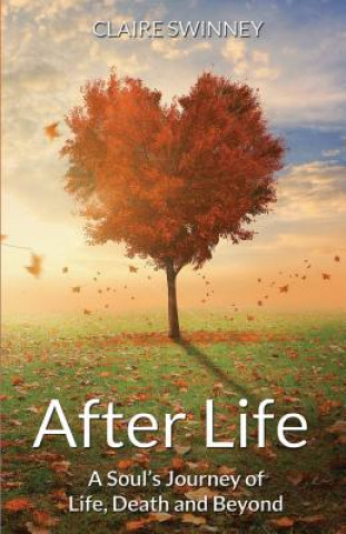 Könyv After Life Claire Swinney