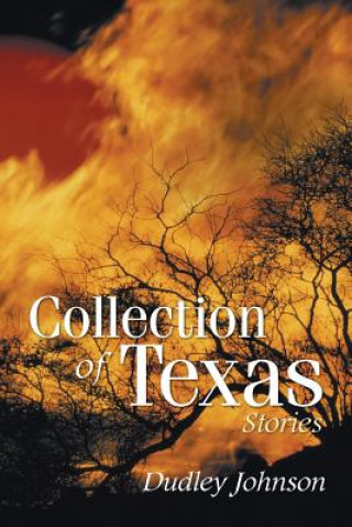 Kniha Collection of Texas Stories DUDLEY JOHNSON