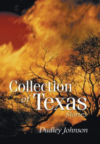 Kniha Collection of Texas Stories DUDLEY JOHNSON