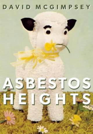 Kniha Asbestos Heights David McGimpsey