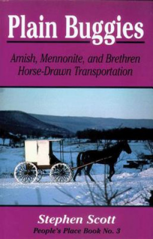 Book Plain Buggies Stephen Scott
