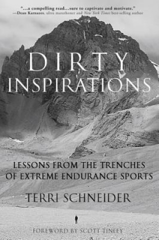 Könyv Dirty Inspirations Terri Schneider