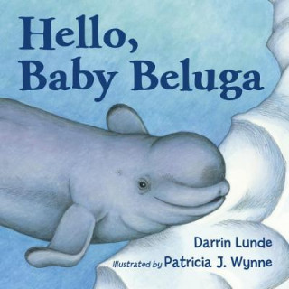 Carte Hello, Baby Beluga Darrin Lunde