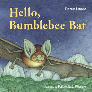 Kniha Hello, Bumblebee Bat Darrin Lunde