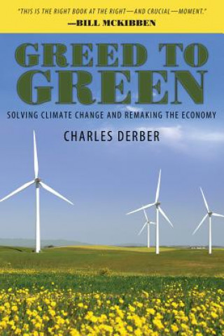 Könyv Greed to Green Charles Derber