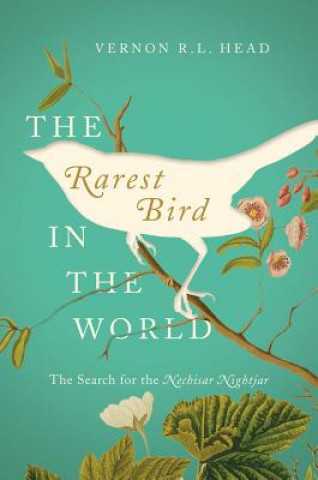 Carte Rarest Bird in the World - The Search for the Nechisar Nightjar Vernon R L Head