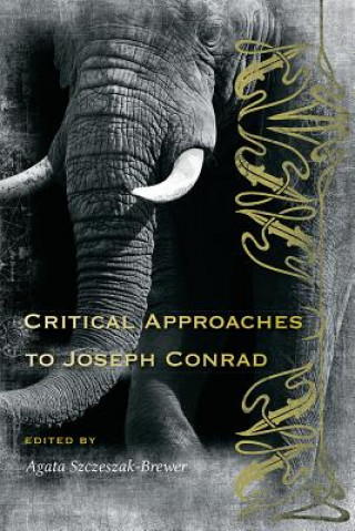 Kniha Critical Approaches to Joseph Conrad 