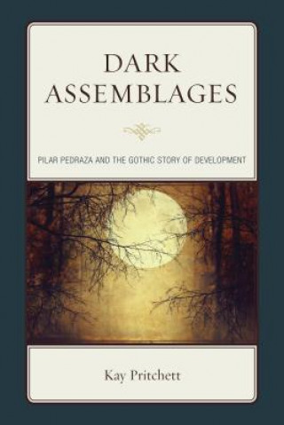 Knjiga Dark Assemblages Kay Pritchett