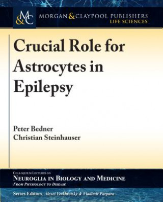 Kniha Crucial Role for Astrocytes in Epilepsy Peter Bedner