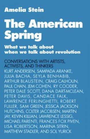 Knjiga American Spring Amelia Stein
