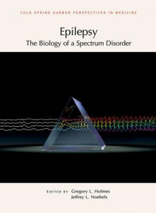 Книга Epilepsy: The Biology of a Spectrum Disorder 