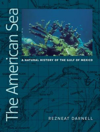 Buch American Sea Rezneat M. Darnell