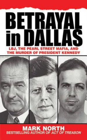Könyv Betrayal in Dallas Mark North