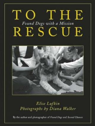 Buch To the Rescue Elise Lufkin