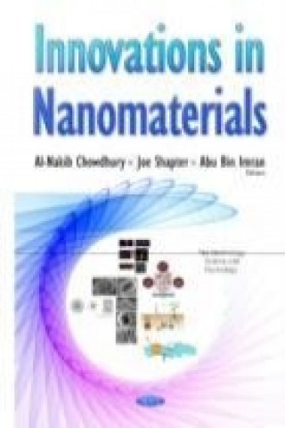 Kniha Innovations in Nanomaterials 