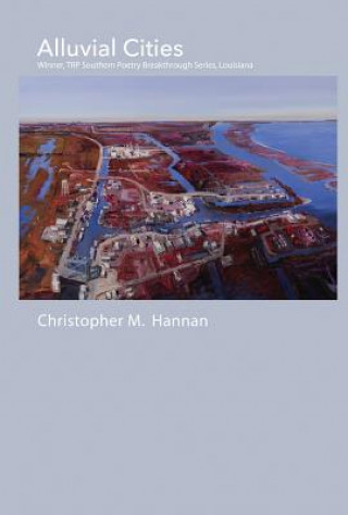 Książka Alluvial Cities Christopher M. Hannan