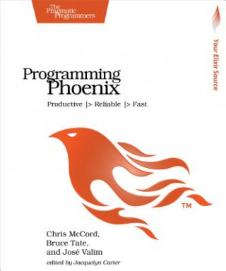 Kniha Programming Phoenix Chris McCord