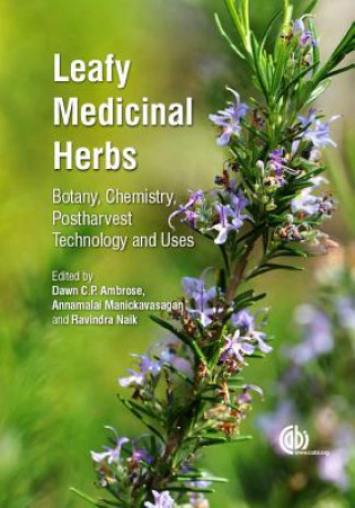 Könyv Leafy Medicinal Herbs Dawn Ambrose