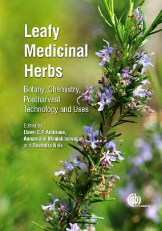 Książka Leafy Medicinal Herbs Dawn Ambrose