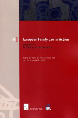 Kniha European Family Law in Action. Volume V - Informal Relationships Katharina Boele-Woelki