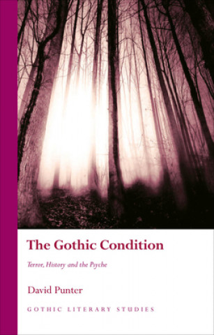 Kniha Gothic Condition David Punter